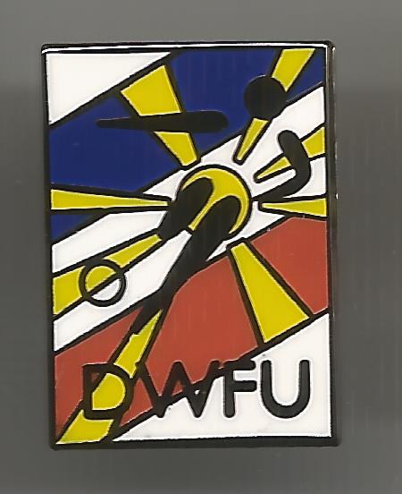 Pin DWFU Dale Westland Football Union